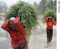 Nepalese women carry a href=