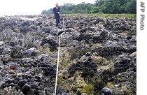 Researcher examines uplifted coral on west coast of Simeulue, Indonesia (file a href=