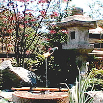 Japanese Garden