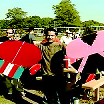 Some kites used in kite fighting