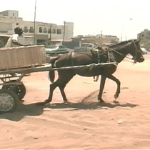 Ndoye and his horse, Diass